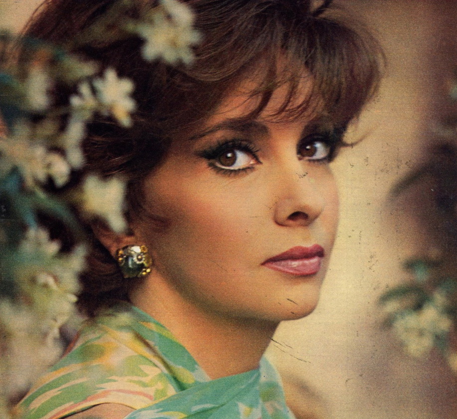 Gina Lollobrigida 65