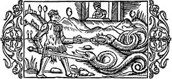 On Alf the Defender of Chastity Olaus Magnus
