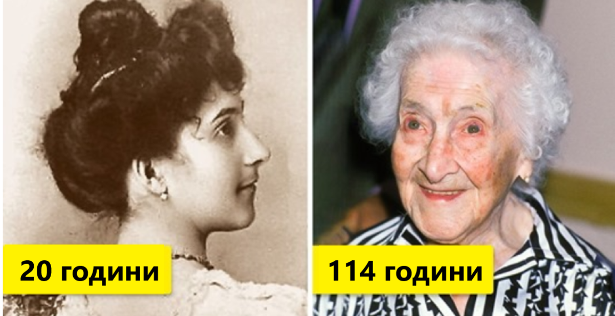 жизнь кальман1