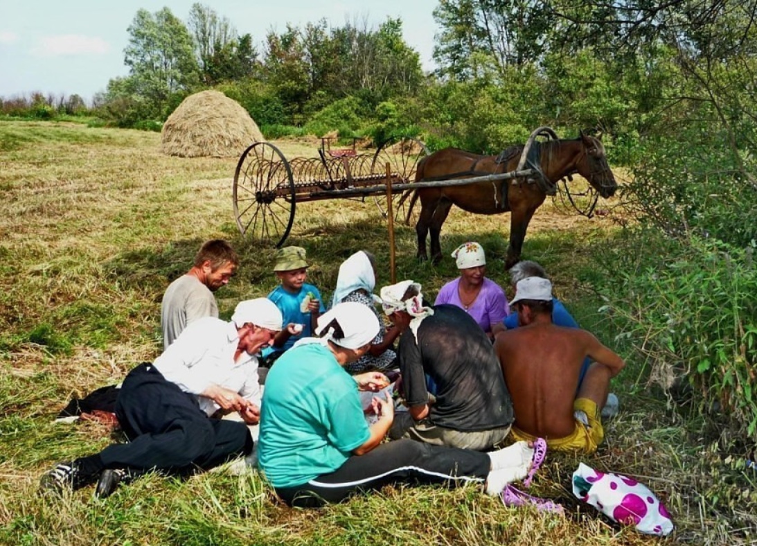 кулинария 1 обед в поле