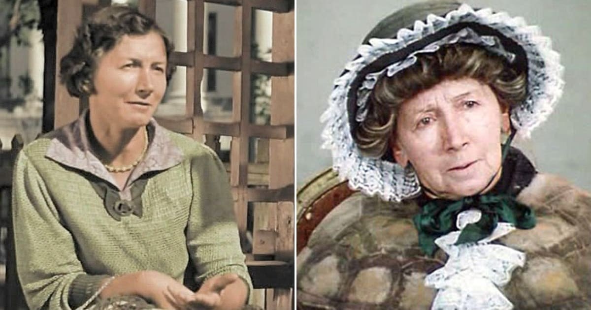 рина черепаха