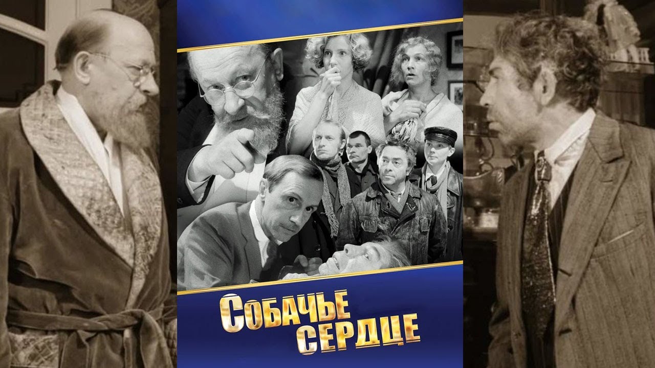 собачье сердце центр 3